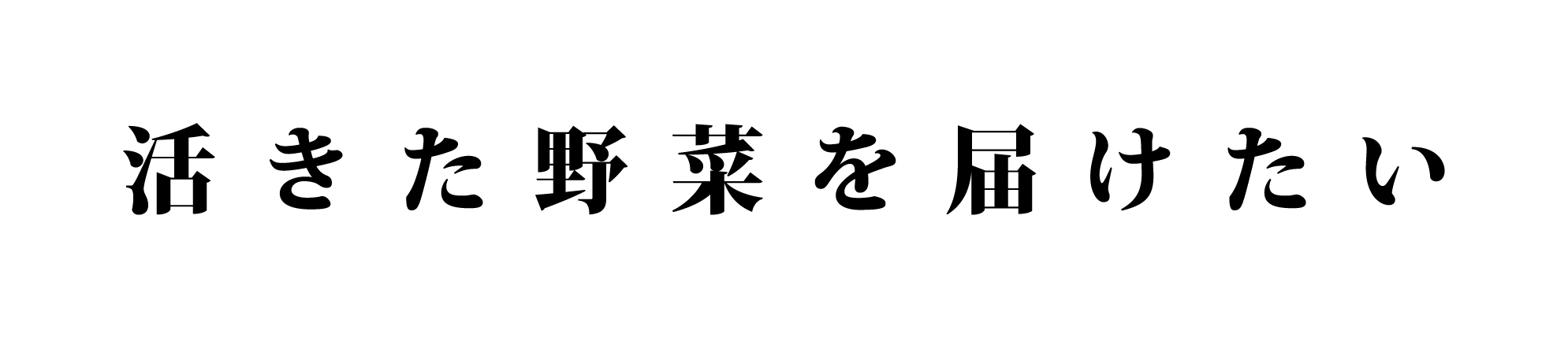 活きた野菜を届けたい